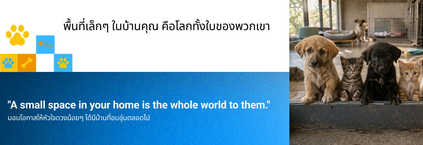 Pet Station h04 Feature